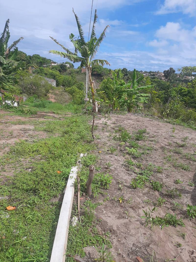 Lote na praia de Jacumã